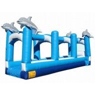 Dolphin Slip And Slide